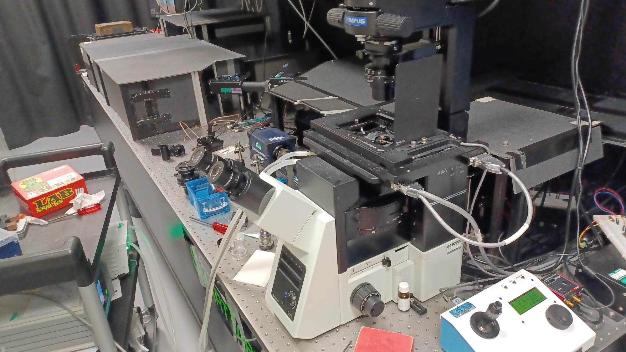 Inverted fluorescence microscope setup on an optical table, used for the dissertation